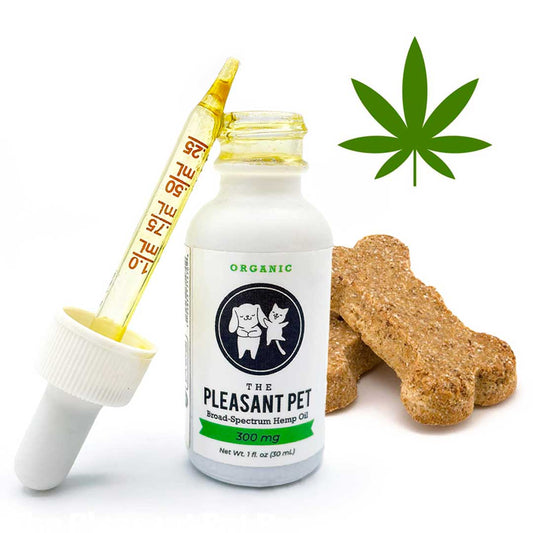 Unleashing the Healing Power of CBD for Pets: Relief from Pain, Anxiety, Arthritis, Allergies, and More