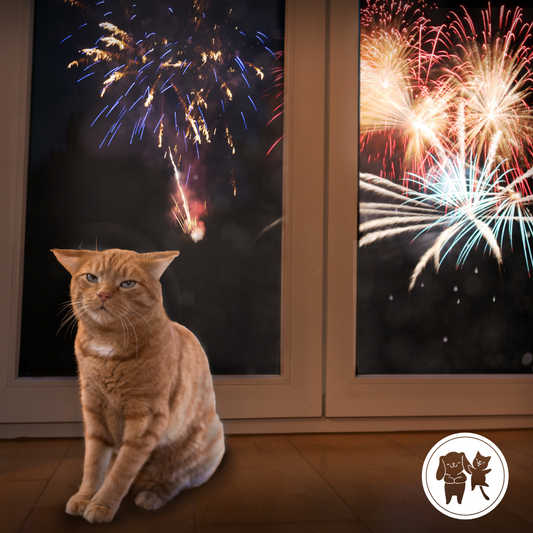 Managing Your Pets Anxiety During Fireworks. Can CBD Help?